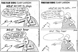 gary-larson-what-we-say-to-dogs-what-dogs-hear